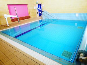Axminster Community Flamingo Pool