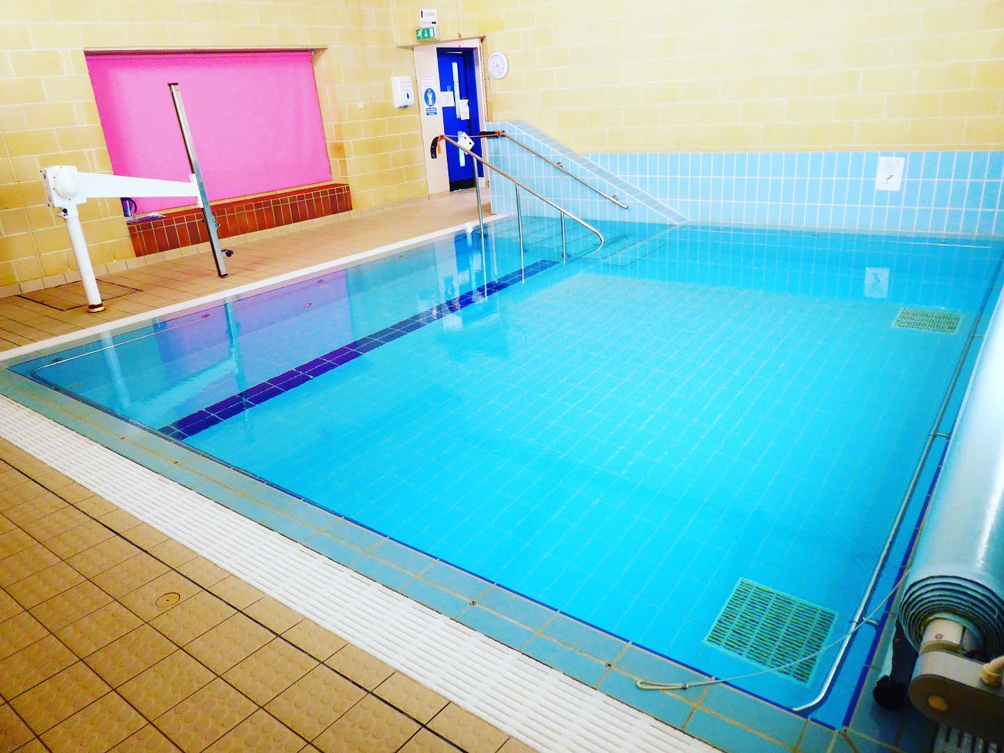 Axminster Community Flamingo Pool